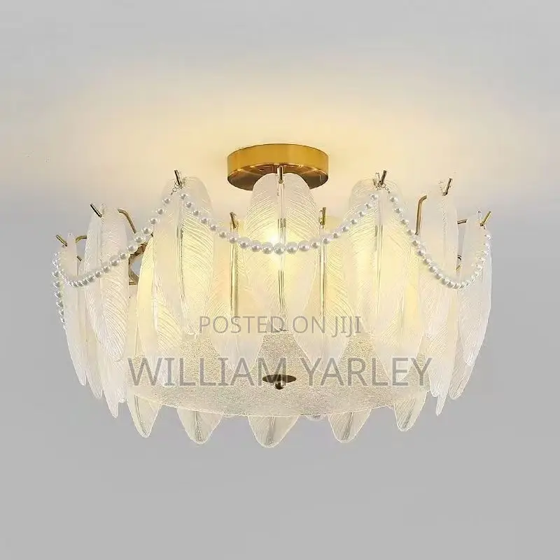 Chandelier Luxury Light