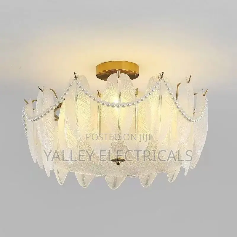 Chandelier Luxury Light