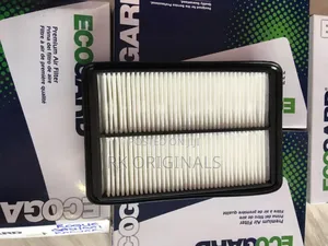 Nissan Rogue/Qashqai 2014-2022 Air Filter Imported From USA