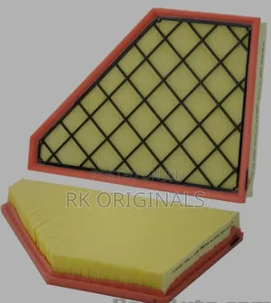 Chevrolet Traverse/Acadia/Enclave 18-24 Air Filter
