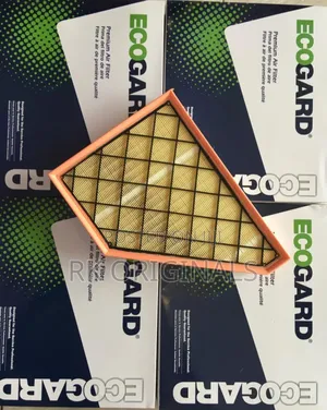Chevrolet Traverse/Acadia/Enclave 18-24 Air Filter