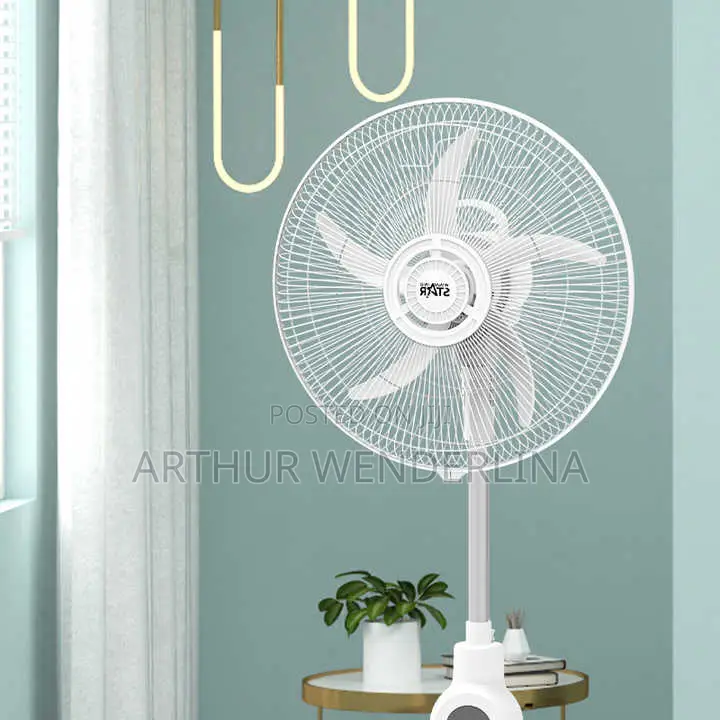 Winning Star Rechargeable Adjustable Fan