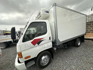 2012 Hyundai Freezer Truck