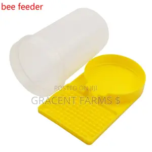 Bees Jar Drinker/Feeder
