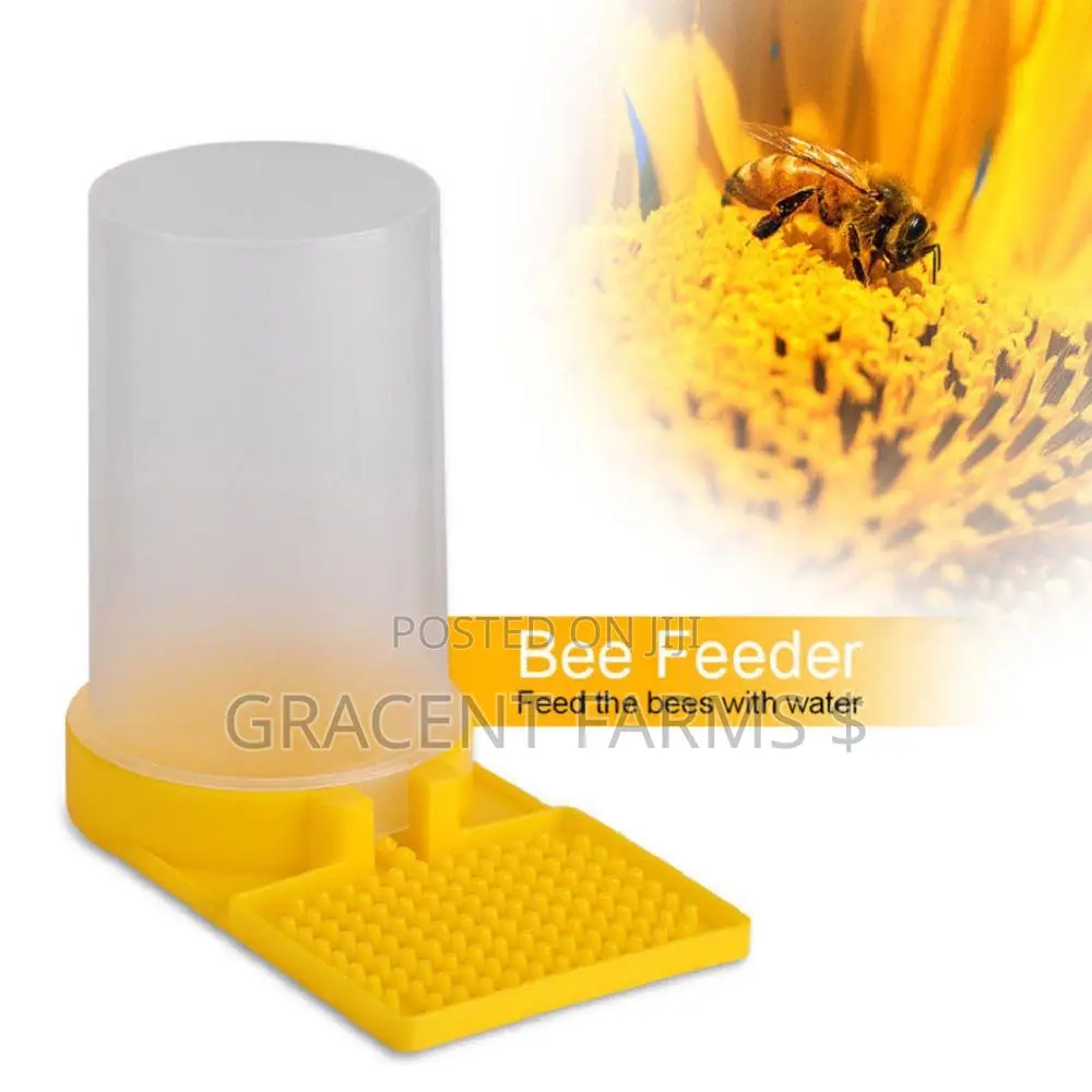 Bees Jar Drinker/Feeder