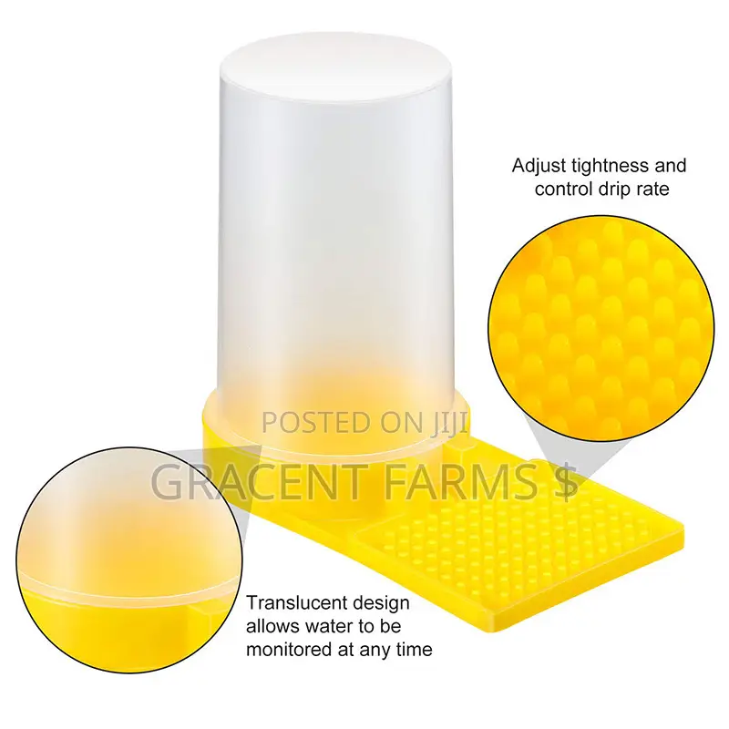 Bees Jar Drinker/Feeder
