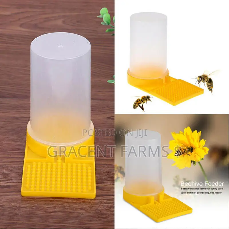 Bees Jar Drinker/Feeder