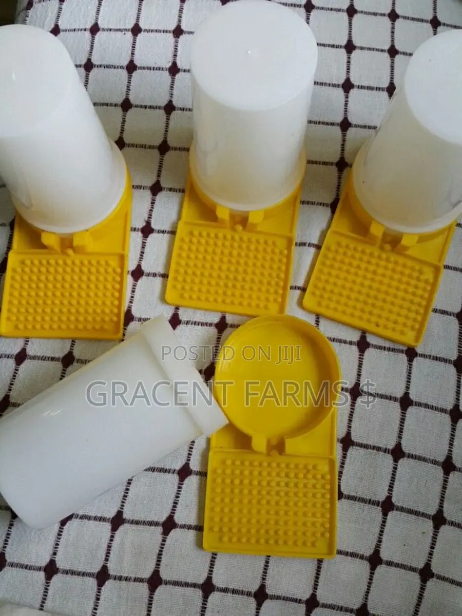 Bees Jar Drinker/Feeder