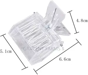 Queen Bee Catcher Cage