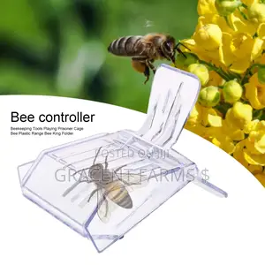 Queen Bee Catcher Cage