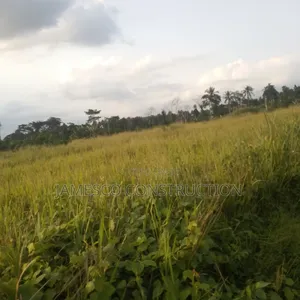 Farmland for Sale