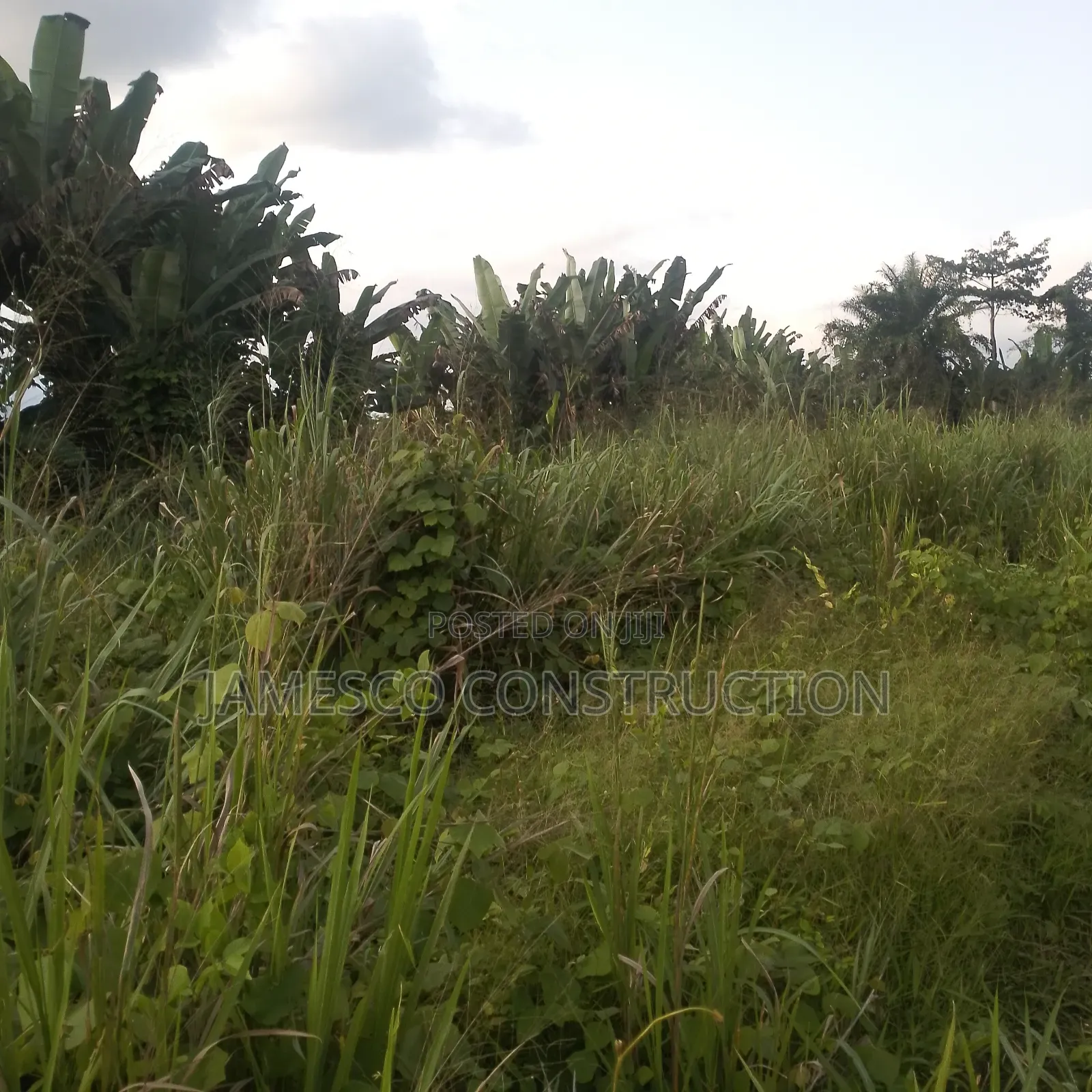 Farmland for Sale