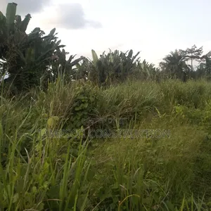 Farmland for Sale