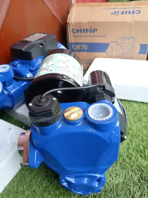 25WZB - 400W Chimp Water Pump