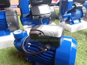 Quality and Affordable Chimps Water Pump