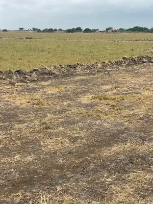 Litigation Free Plot at Tsopoli and Ningo Prampram 4 Sale.
