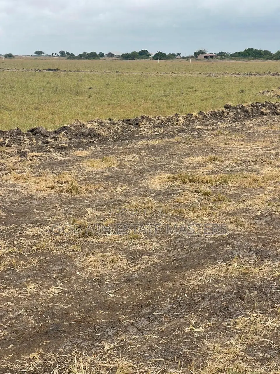Litigation Free Plot at Tsopoli and Ningo Prampram 4 Sale.