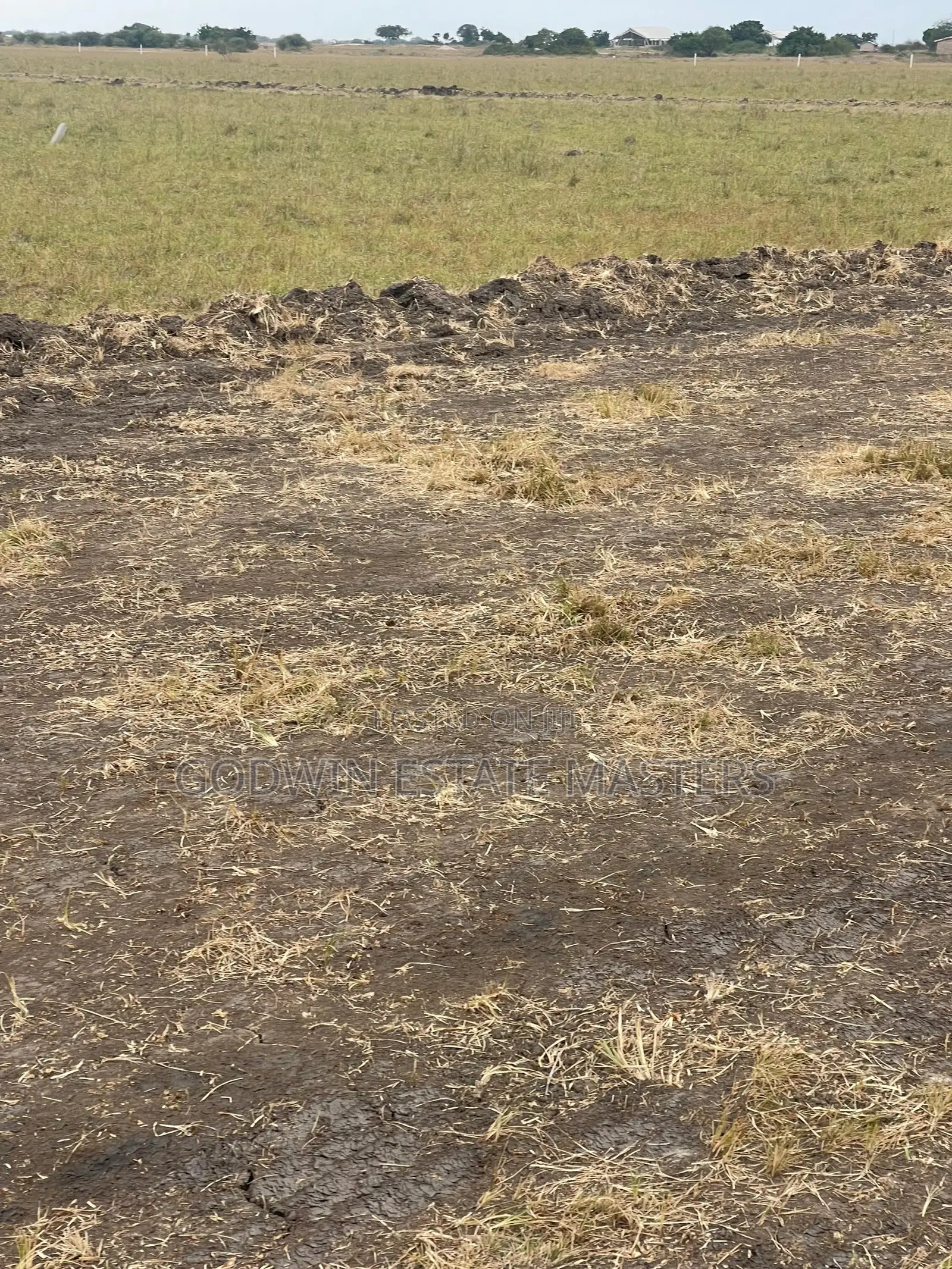 Litigation Free Plot at Tsopoli and Ningo Prampram 4 Sale.