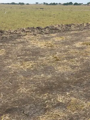 Litigation Free Plot at Tsopoli and Ningo Prampram 4 Sale.