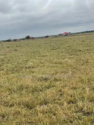 Reward Your Hard Work With a Plot of Land in All Sizes