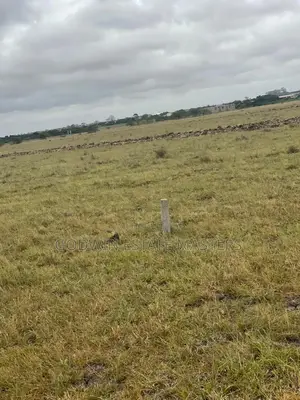 Reward Your Hard Work With a Plot of Land in All Sizes