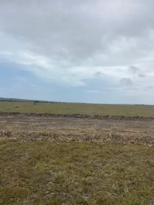 Beautiful and Amazing Flat Surface Land for Sale in Tsopoli