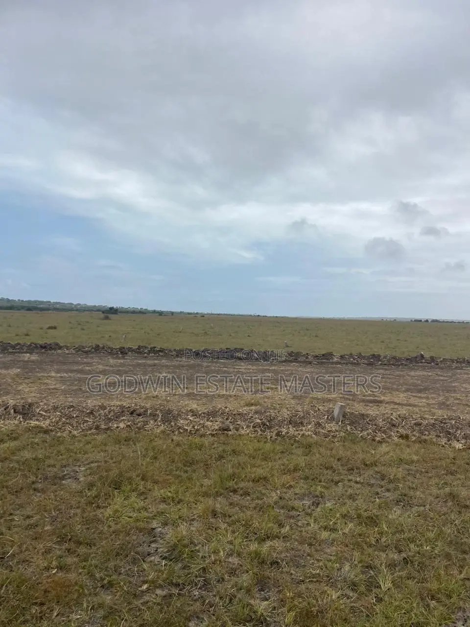 Beautiful and Amazing Flat Surface Land for Sale in Tsopoli