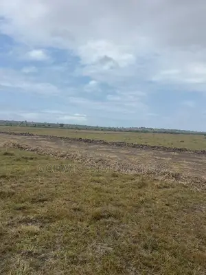 Beautiful and Amazing Flat Surface Land for Sale in Tsopoli