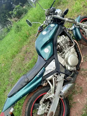 Yamaha 2011 Green