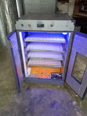 Fully Automatic Egg Incubator