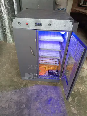 Fully Automatic Egg Incubator