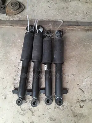 Hyundai Sentafe 2008 2015 Back Shock Absorbers