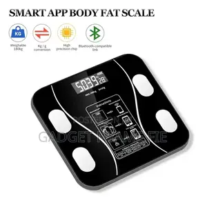 Smart Bathroom Body Scale