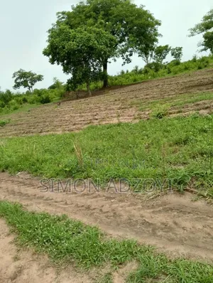 5000 Acres of Farm Land for Long Term Lease