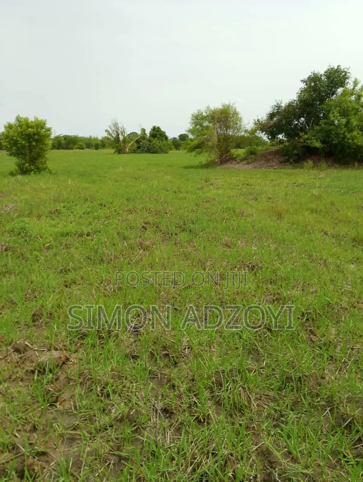 5000 Acres of Farm Land for Long Term Lease