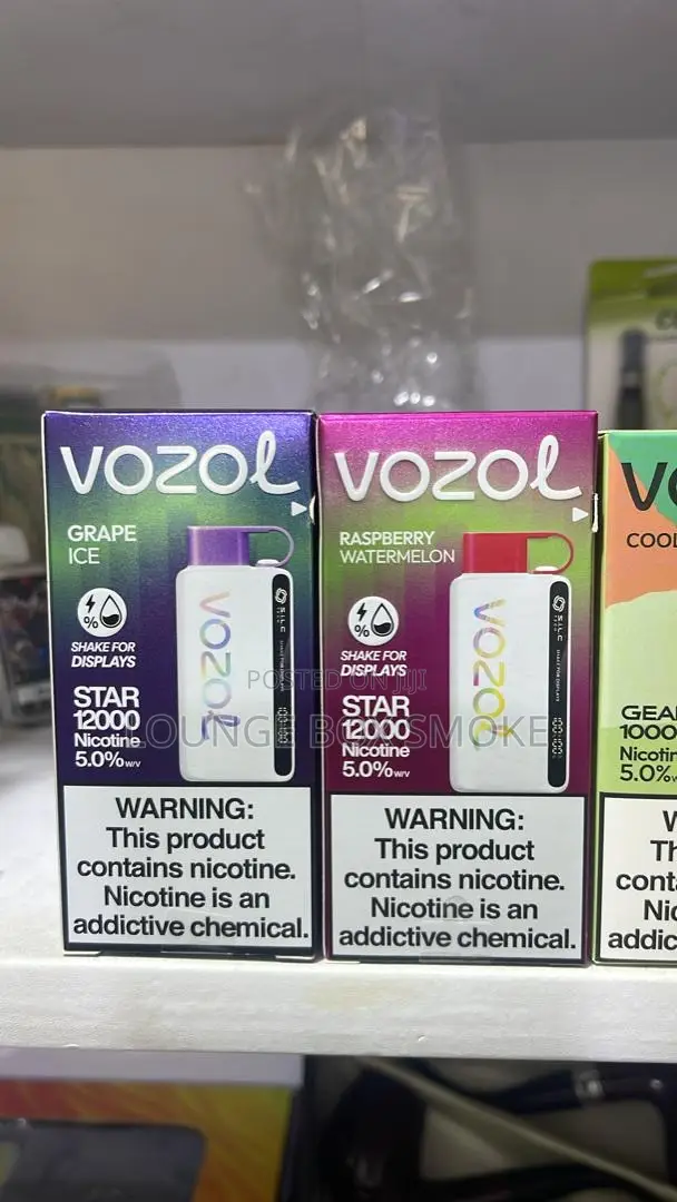 Disposable Vape(12000 Puffs)