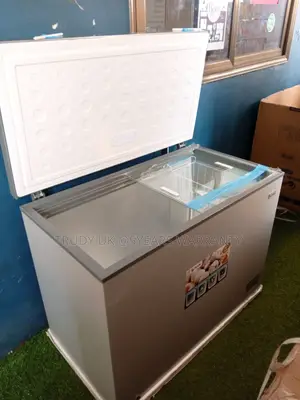 Best One Year Warranty Pearl Chest Freezer 290L