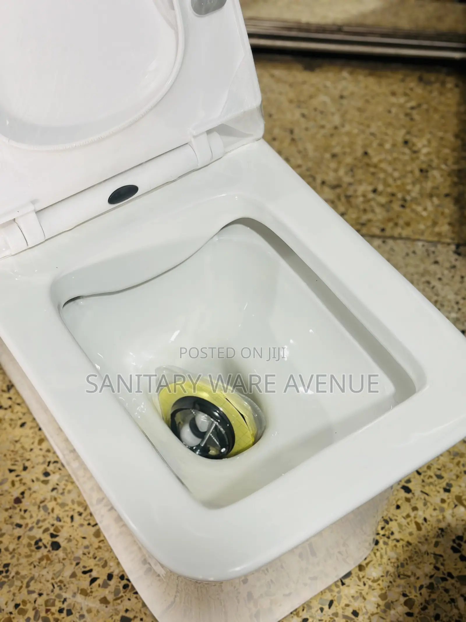 Siphonic Water Closet - Combined WC - Toilet Seat