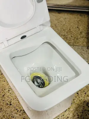 Siphonic Water Closet - Combined WC - Toilet Seat