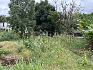 One and Half Acres at Ahodwo Roundabout to Ridge.