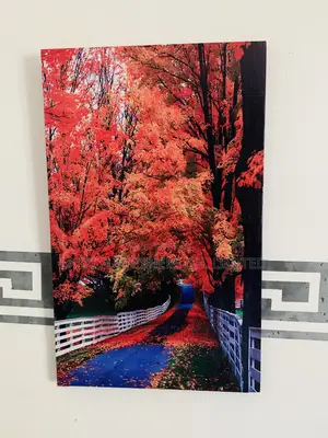 Portrait Canvas Wall Arts Frame