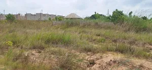 Litigation Free Half Plot Offers at Tema Community 25