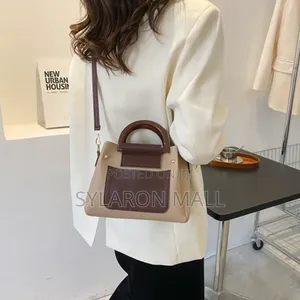 Ladies Handbag C1