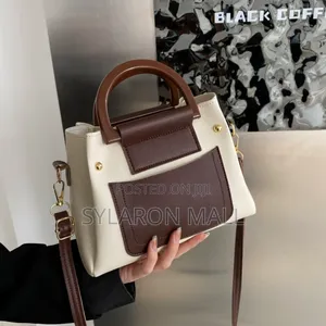 Ladies Handbag C1