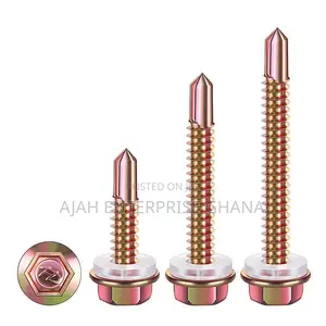 Roofing Nails (1000pcs)