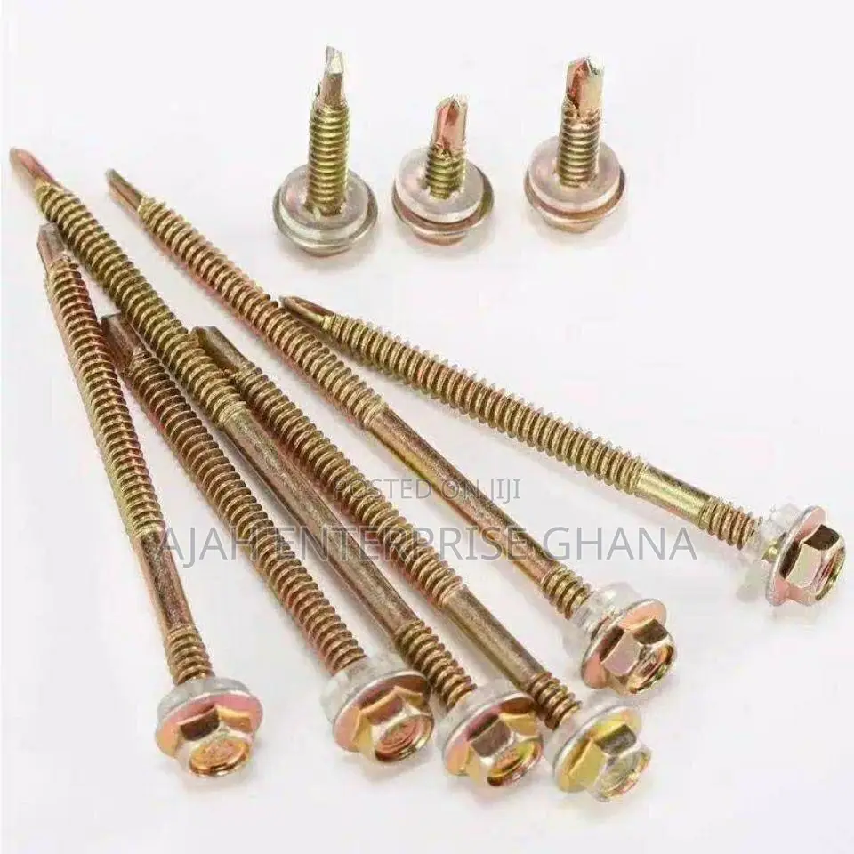 Roofing Nails (1000pcs)