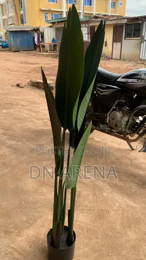 Artificial Banana Plant Size: 120cm High