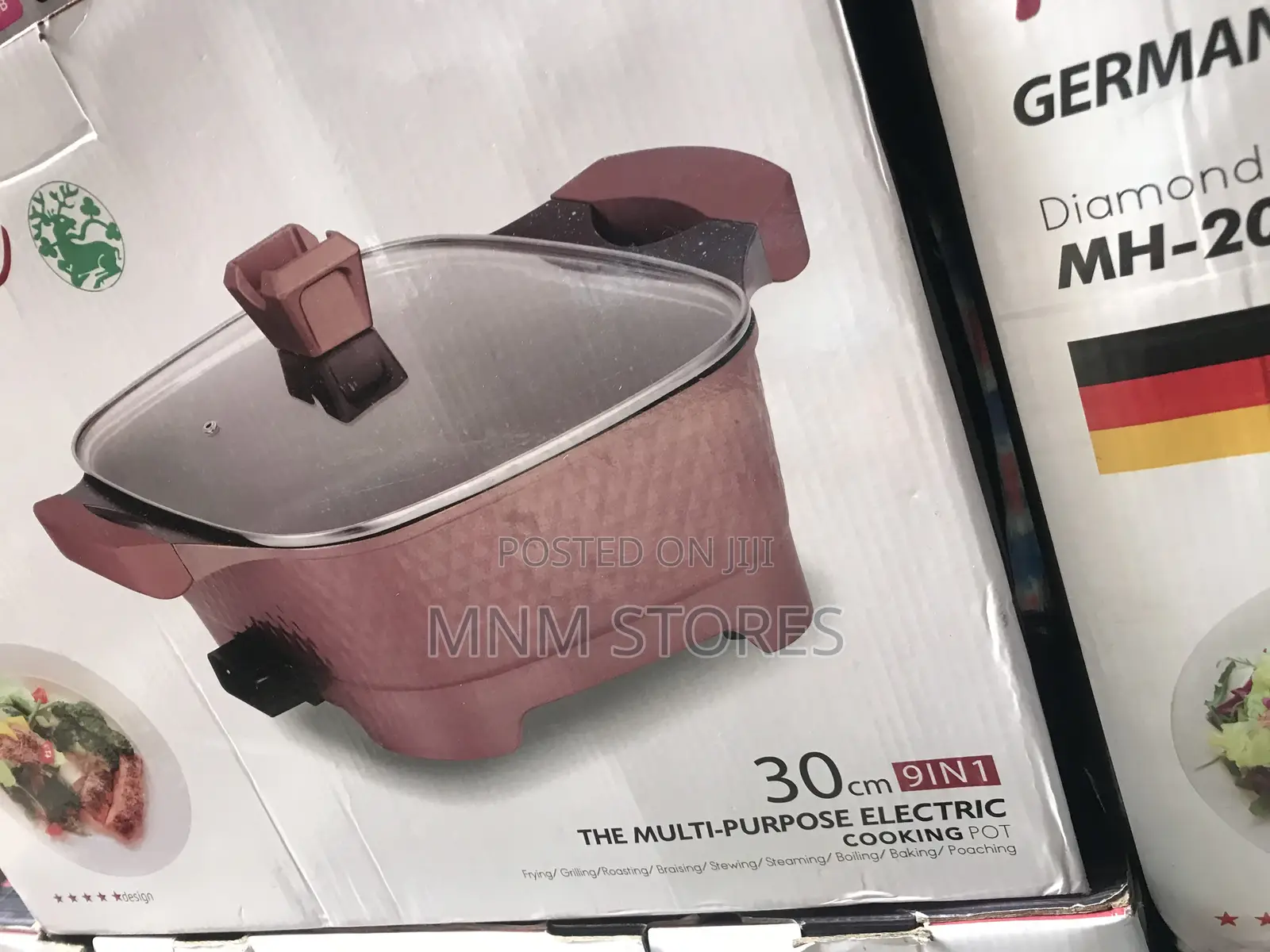 Electric Cooking Pot