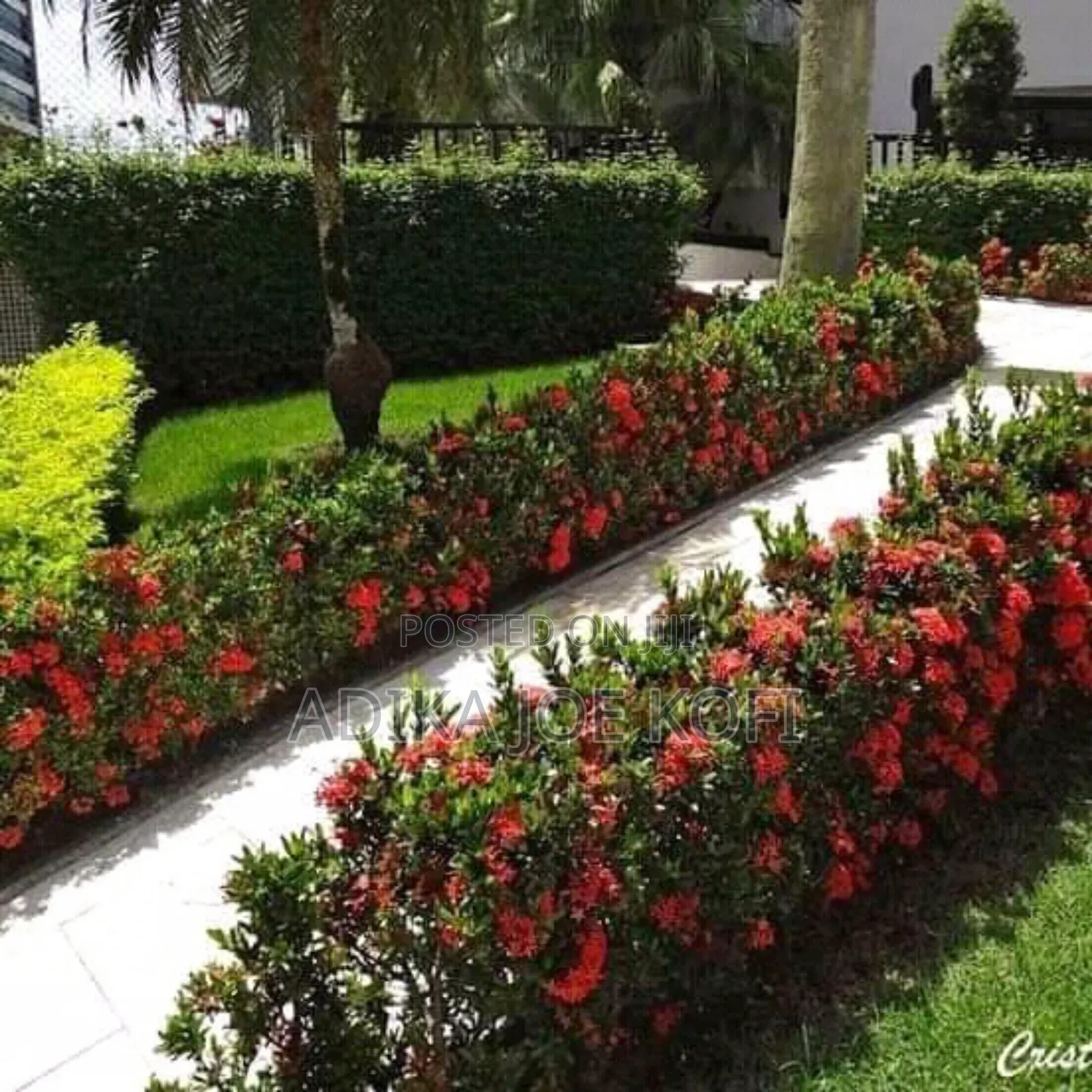 Joefel Construction and Landscaping With Gardening Work