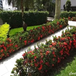 Joefel Construction and Landscaping With Gardening Work